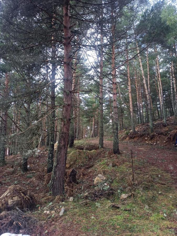 Апартаменты Montes De Lillo --Vut Le 625 Пуэбла-де-Лильо Экстерьер фото